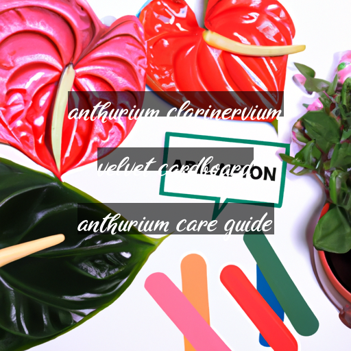 anthurium clarinervium velvet cardboard anthurium care guide