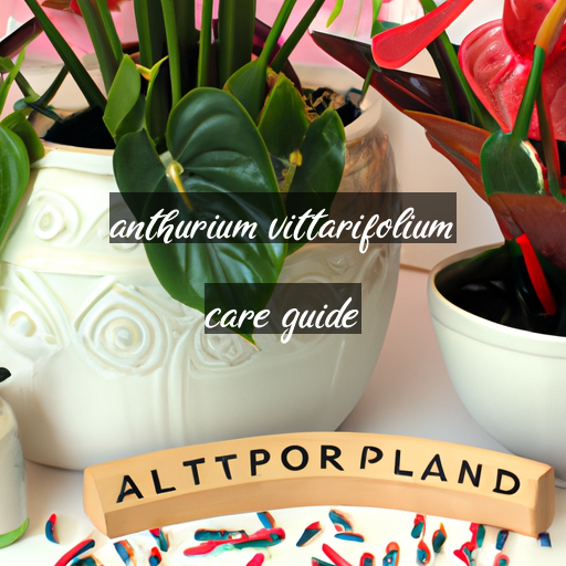 anthurium vittarifolium care guide